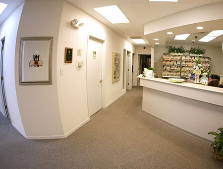 Apple Dentistry | Teeth Whitening, Oral Exams and Root Canals